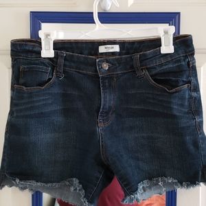 Raw/distressed hem jean shorts